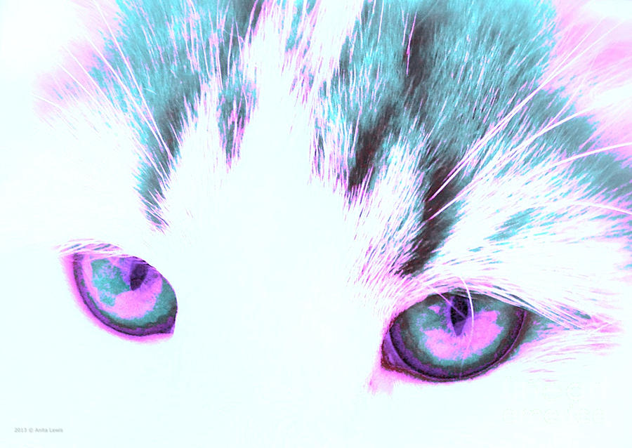 Purple Cat Eyes Photograph by Anita Lewis