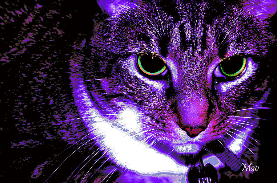 Purple Cat Photograph by Maideline Sanchez - Pixels
