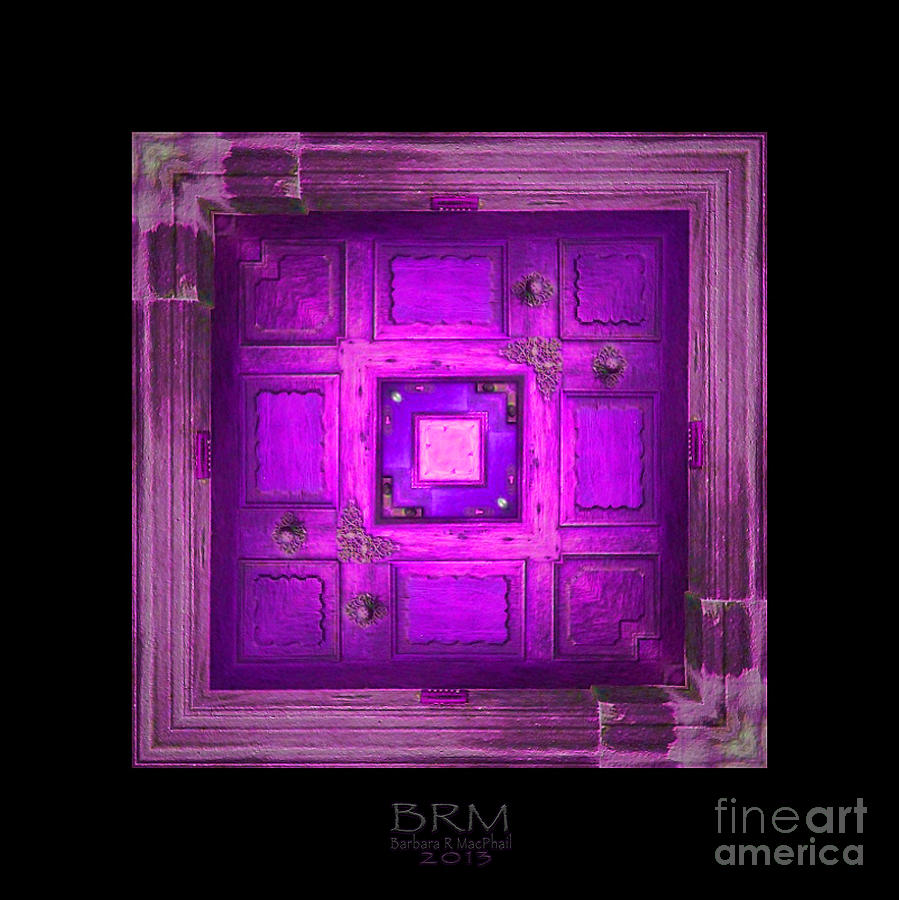 Purple Charged Photograph by Barbara R MacPhail