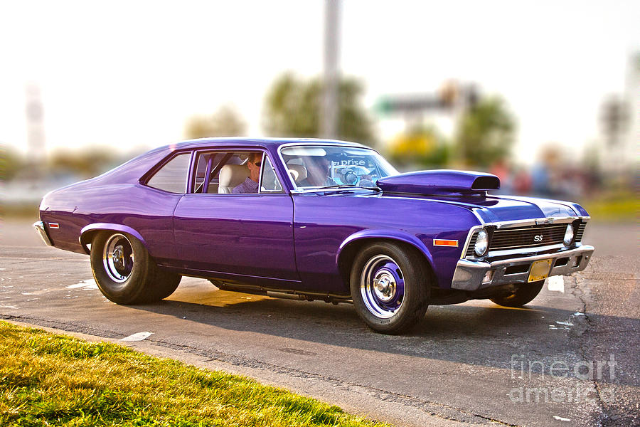 Purple Chevy Photograph by Michael Petrick