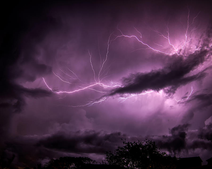 Purple Clash Photograph by Mike Neal