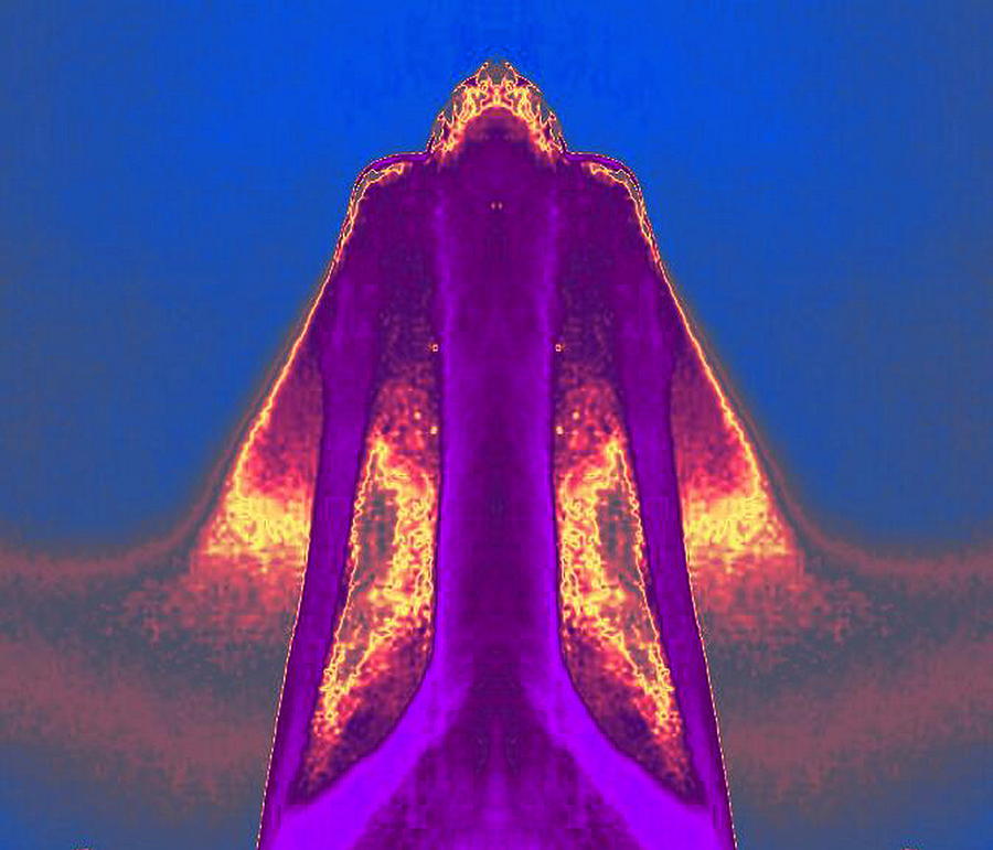 Purple Coat Digital Art by Mary Russell