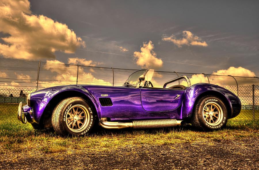 Purple Cobra Photograph By Lise Bennett Pixels 6146