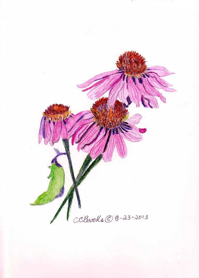 Purple Coneflowers Painting by Charlene Corman-Brooks - Fine Art America