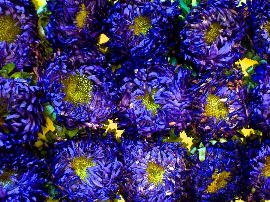 Flower Photograph - Purple Crush 09/14 by Monique Grant-Patel