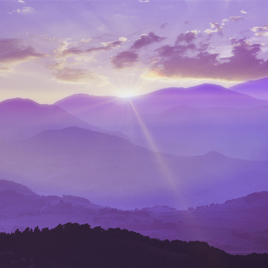 Purple Dawn Photograph by Deimagine