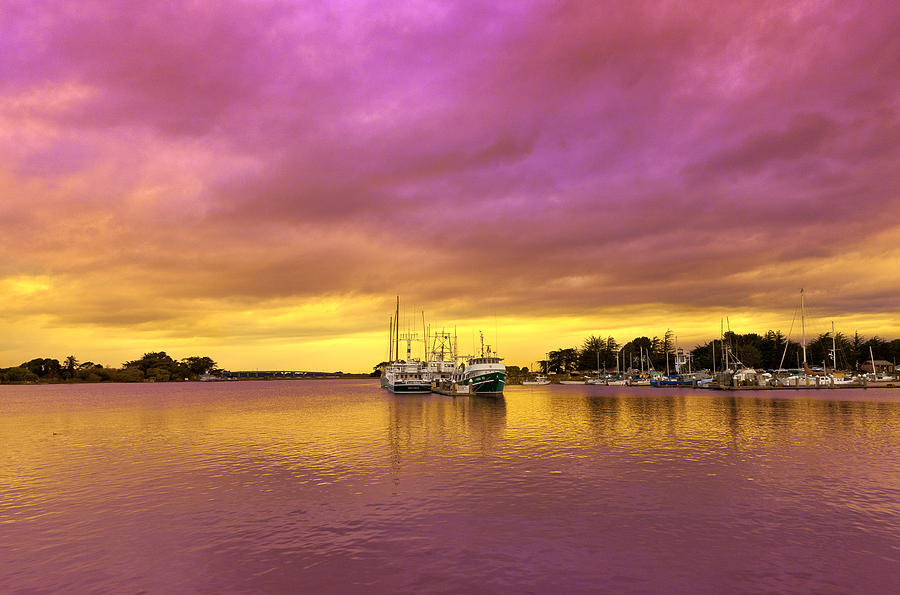 Boat Photograph - Purple Daze by Jon Exley