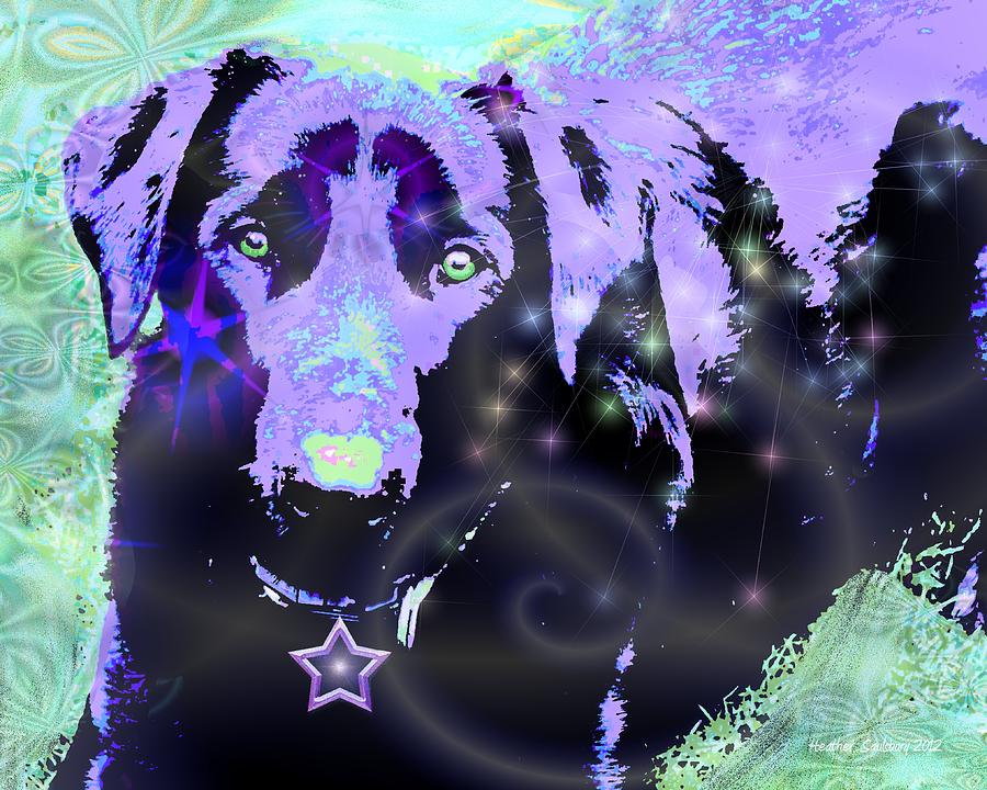 Purple Dog Digital Art by Heather Saulsbury - Pixels