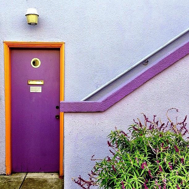 Sanfrancisco Photograph - Purple door by Julie Gebhardt