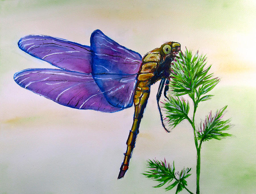 Nature Painting - Purple Dragonfly by Carol Blackhurst