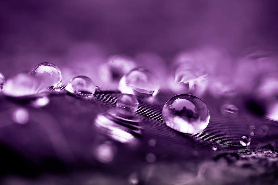 Abstract Photograph - Purple Droplets by Shane Holsclaw