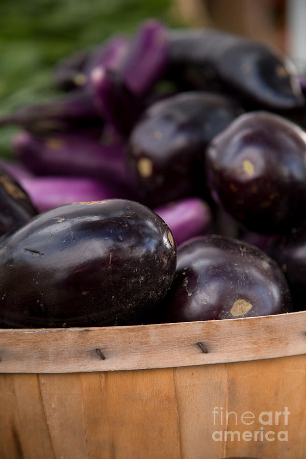 Vegetable Photograph - Purple Eggplant in basket by Rebecca Cozart