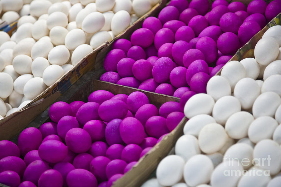 Purple Eggs Photograph by Craig Lovell