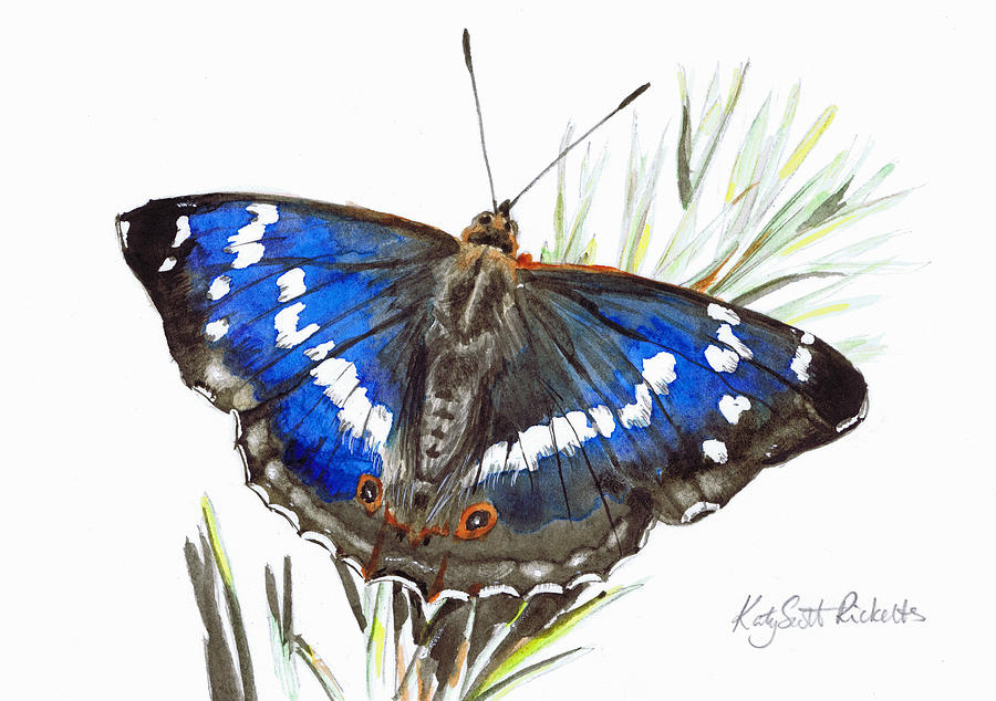 Butterfly Painting - Purple Emperor Butterfly by Katy Scott Ricketts