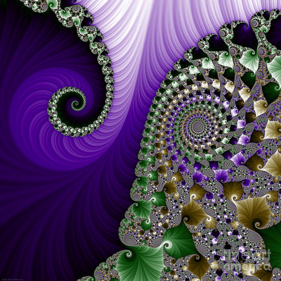 Feather Digital Art - Purple Feathers by Mary Machare
