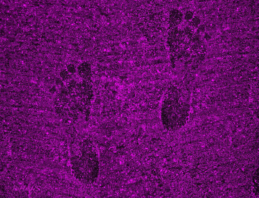 Purple Feet Prints Photograph by Rob Hans Fine Art America