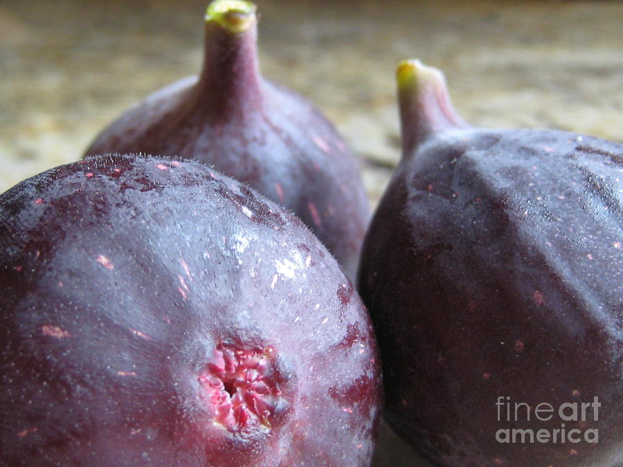 Purple Figs -  Fruit - Food Photograph by Susan Carella