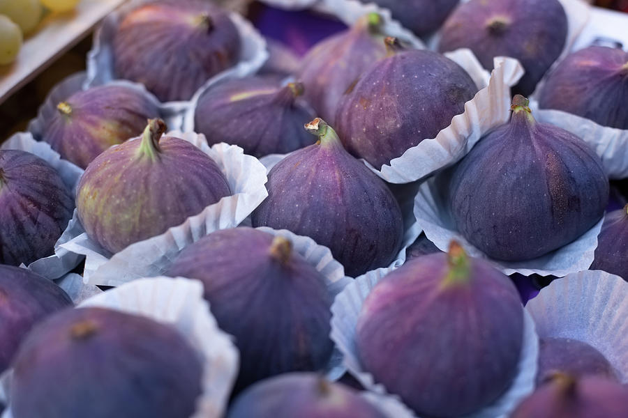 Purple Figs Photograph by Ursula Alter