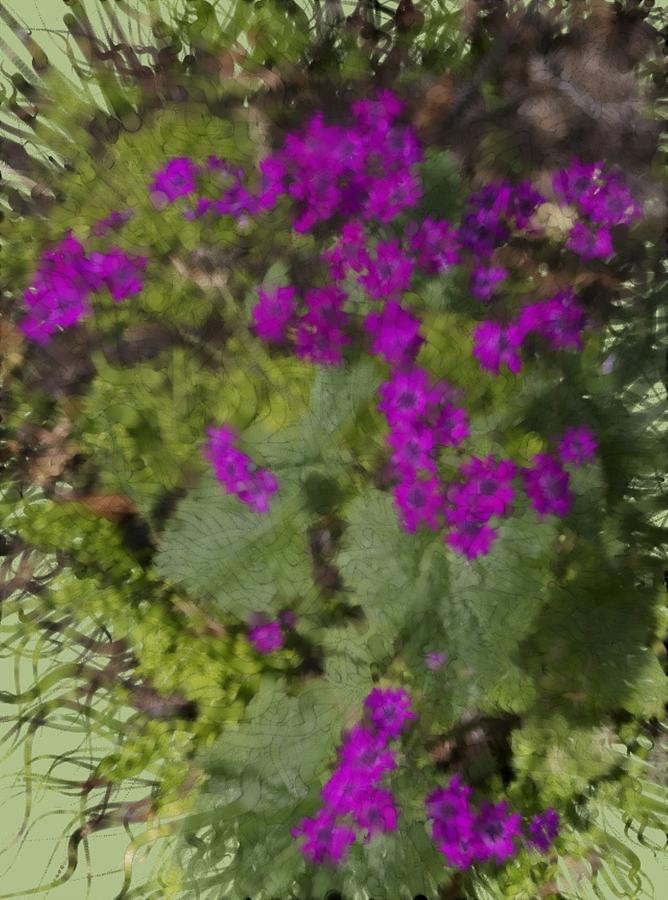 Purple Floral Photograph