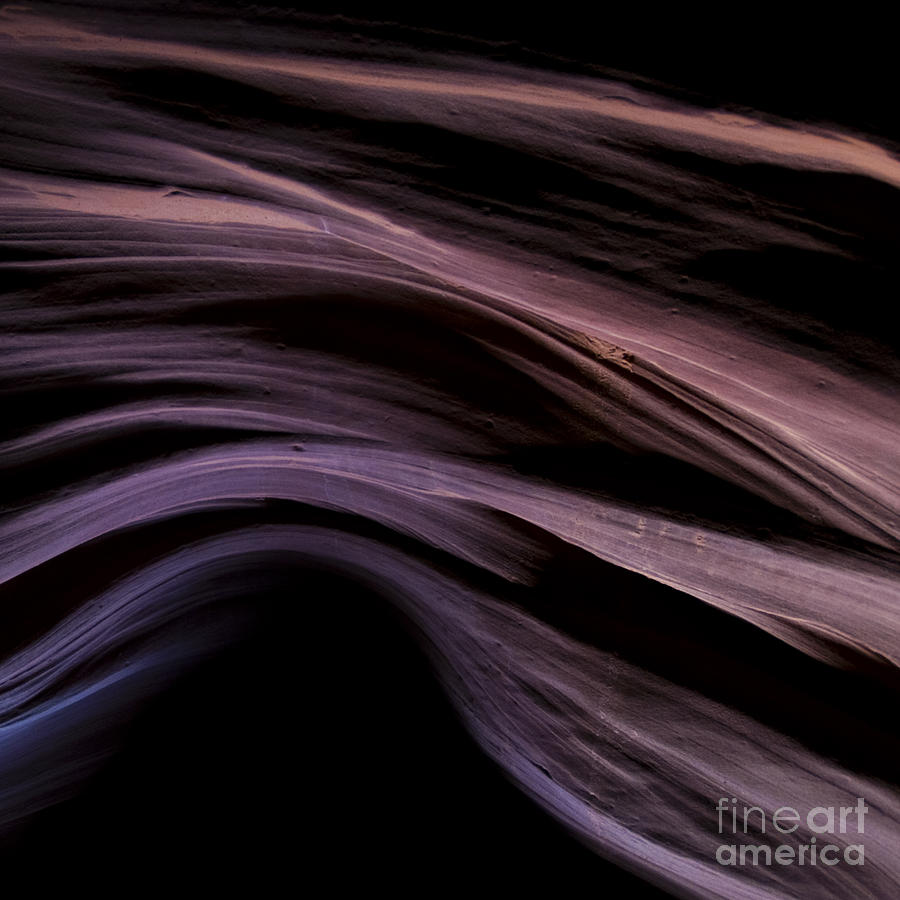 Purple Flow Photograph by Ryan Heffron