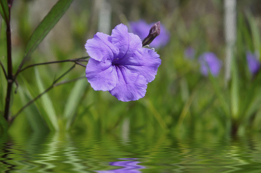 Flower Photograph - Purple Flower by Aged Pixel