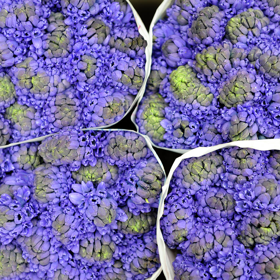 Purple Flower Bouquet At Market Photograph by (c) Jean-michel Volat - Jmvnoos On Flickr