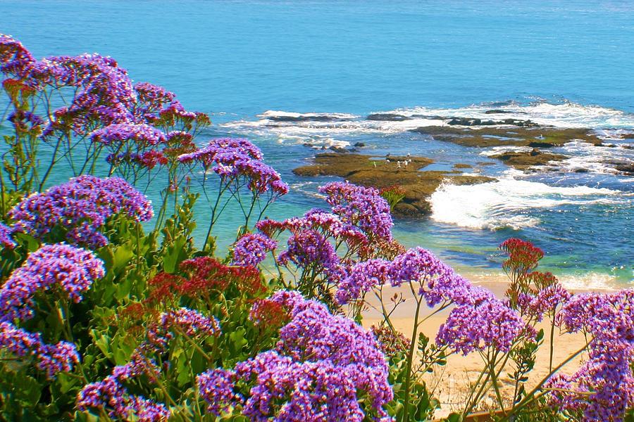 Purple Flower Coastline Photograph by Jane Girardot