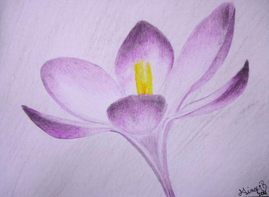 Purple Flower Drawing by G Marie