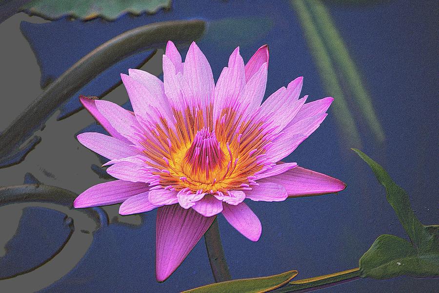 Purple Flower In Colored Pencil Drawing by Richard Zentner