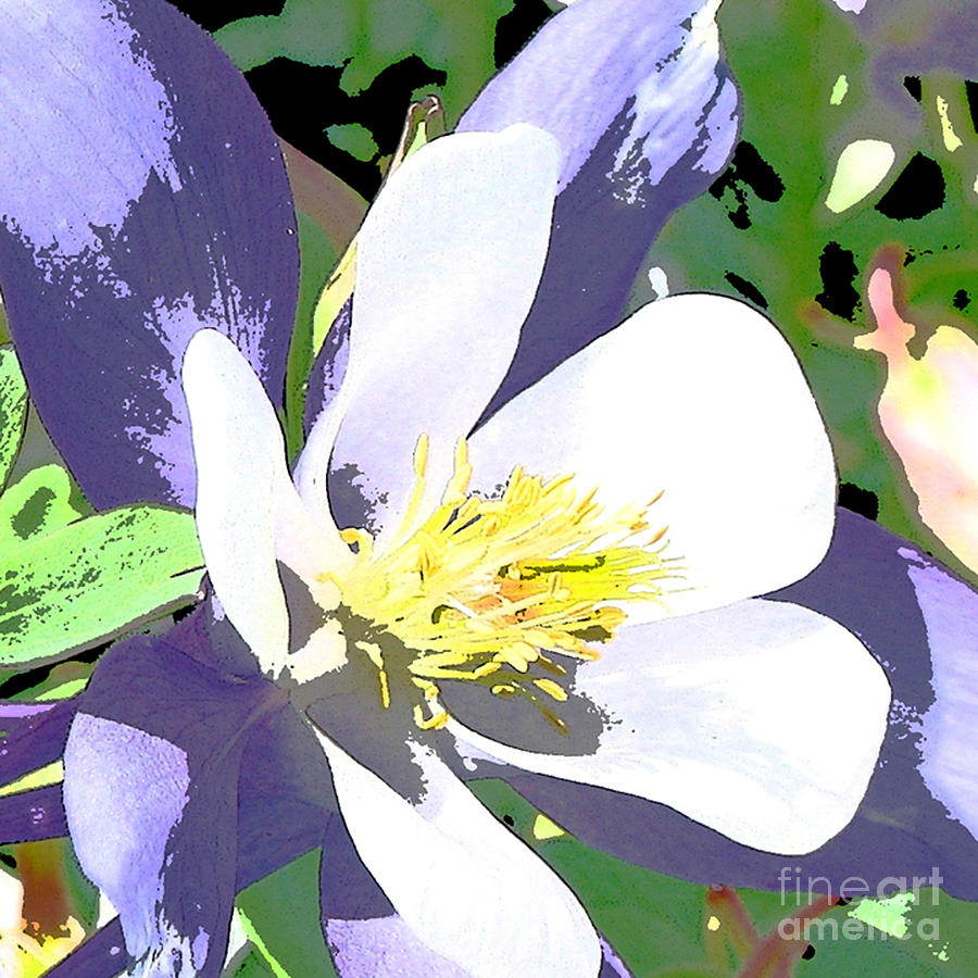 Purple Flower Digital Art by Marsha Young