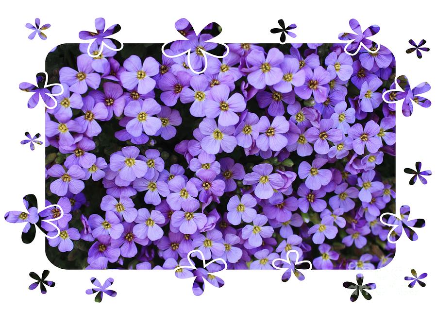 Purple Flowers Card or Poster Photograph by Carol Groenen