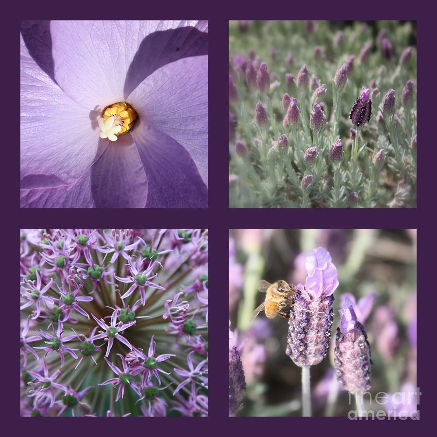 Purple Flowers Collage Photograph by Carol Groenen
