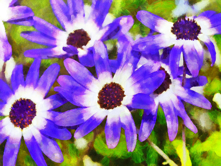 Purple Flowers Digital Art by Digital Photographic Arts