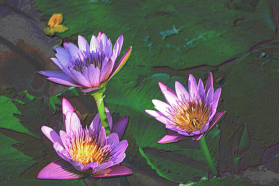 Purple Flowers in Colored Pencil Photograph by Richard Zentner