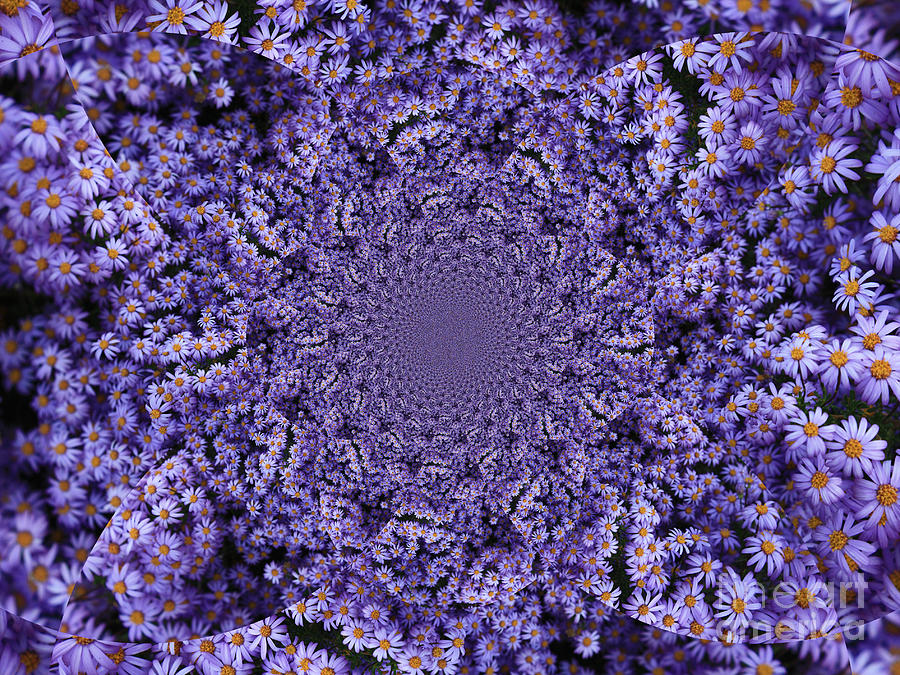 Purple Flowers Kaleidoscope Photograph by Carol Groenen