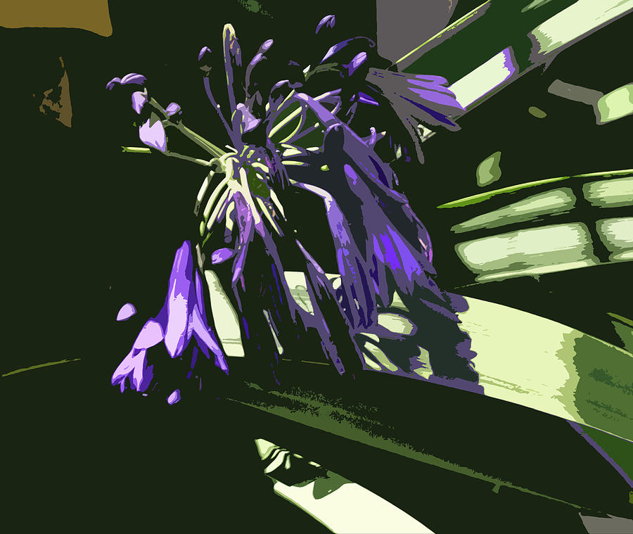 Purple Flowers Digital Art by Karen Nicholson