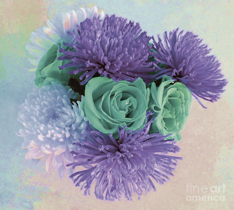 Purple Flowers Photograph - Purple Flowers by Marian Bell