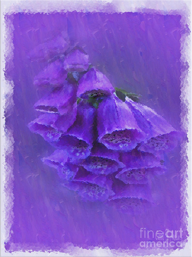 Purple Foxglove Pretty Little Bells Photograph by Carol F Austin