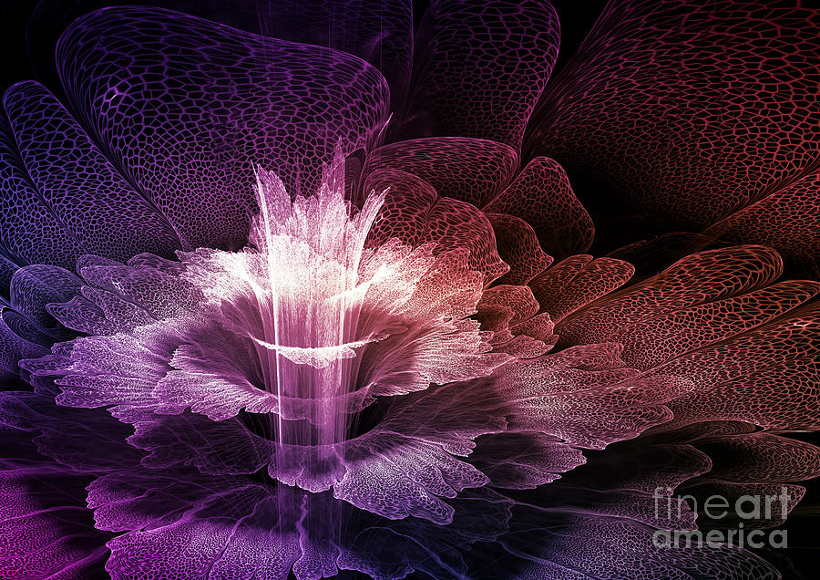 Purple fractal flower Digital Art by Martin Capek