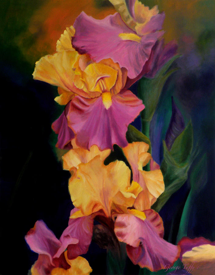 Purple gold irises  Painting by George Tuffy