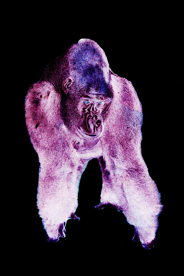 purple stuffed gorilla