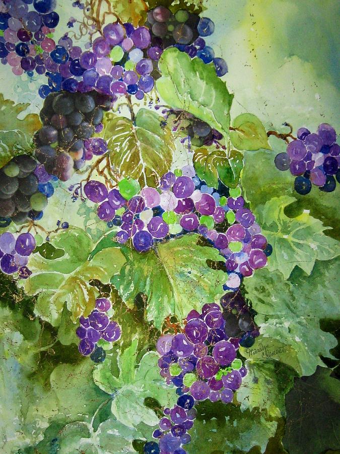 Grape Painting - Purple Grapes by Marilyn  Clement