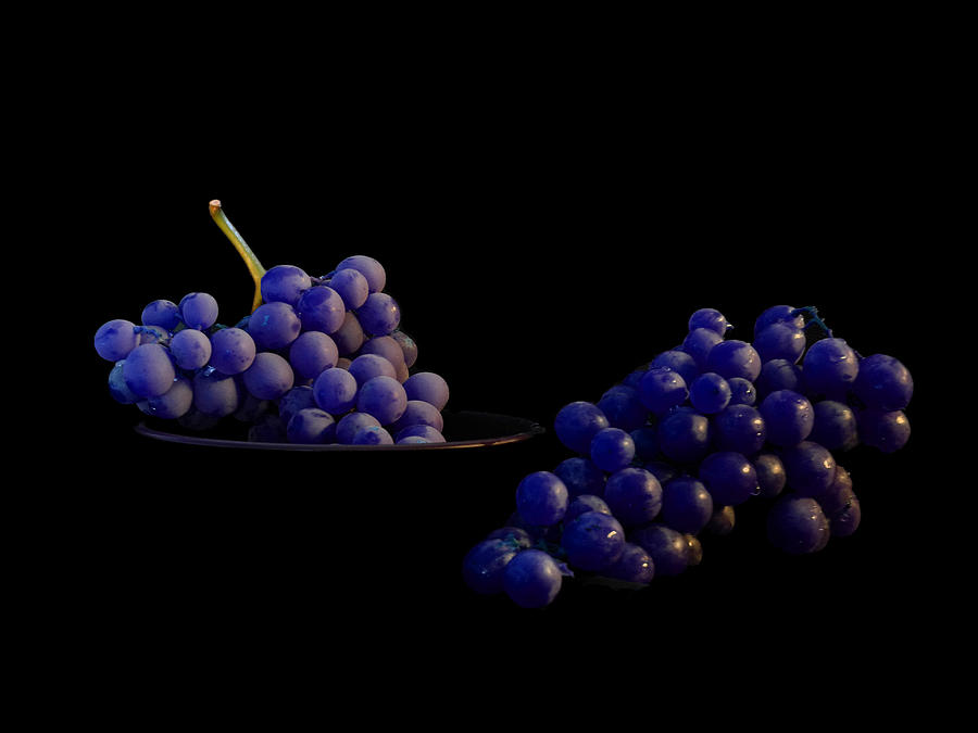 Purple Grapes Photograph by Mark Blauhoefer