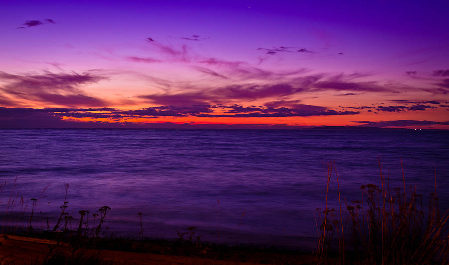 Purple Haze Photograph by Blanca Braun - Fine Art America