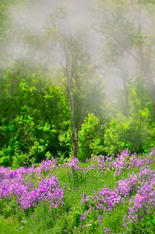 lavender skies pc desktop covers lavender skies pc desktop covers