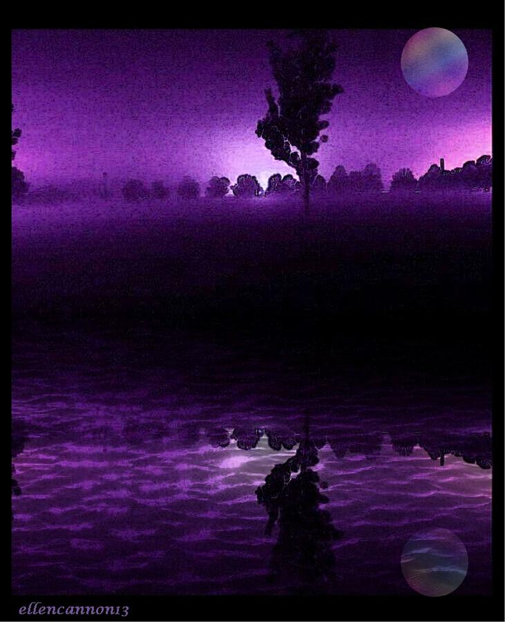 Tree Photograph - Purple Haze by Ellen Cannon