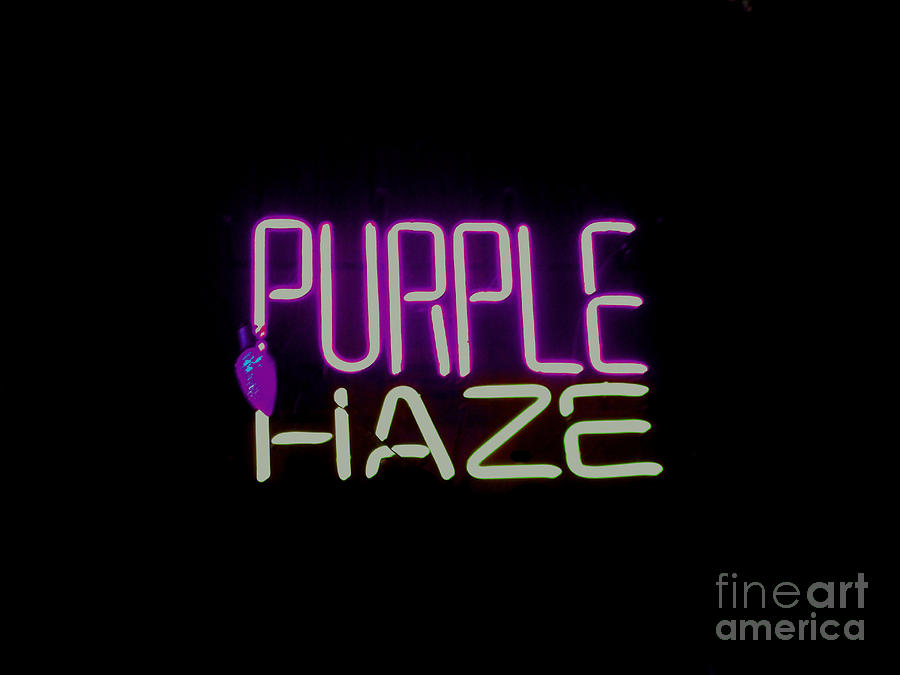 Purple Haze Photograph by Kelly Awad
