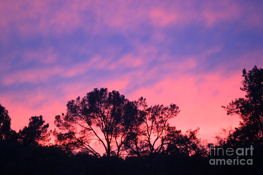 Sunset Photograph - Purple Haze by Linda Arnado