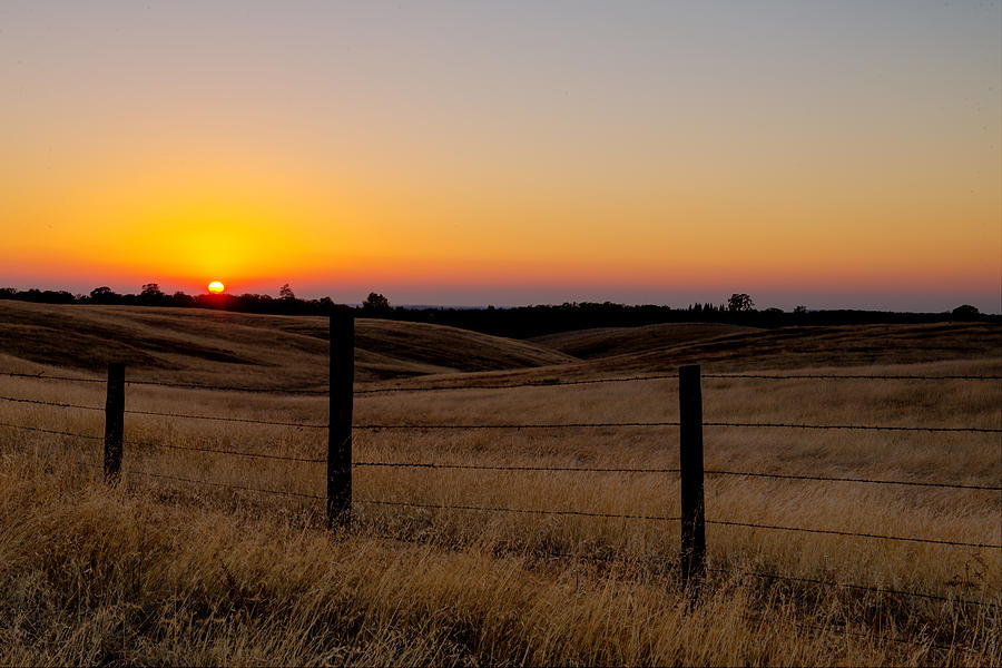 Purple Haze Photograph By Vance Koski - Fine Art America