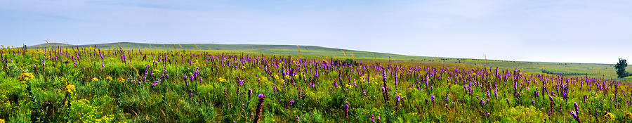 Purple Hills Photograph by Eric Benjamin